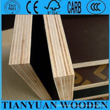 Brown Film Faced Plywood for Building